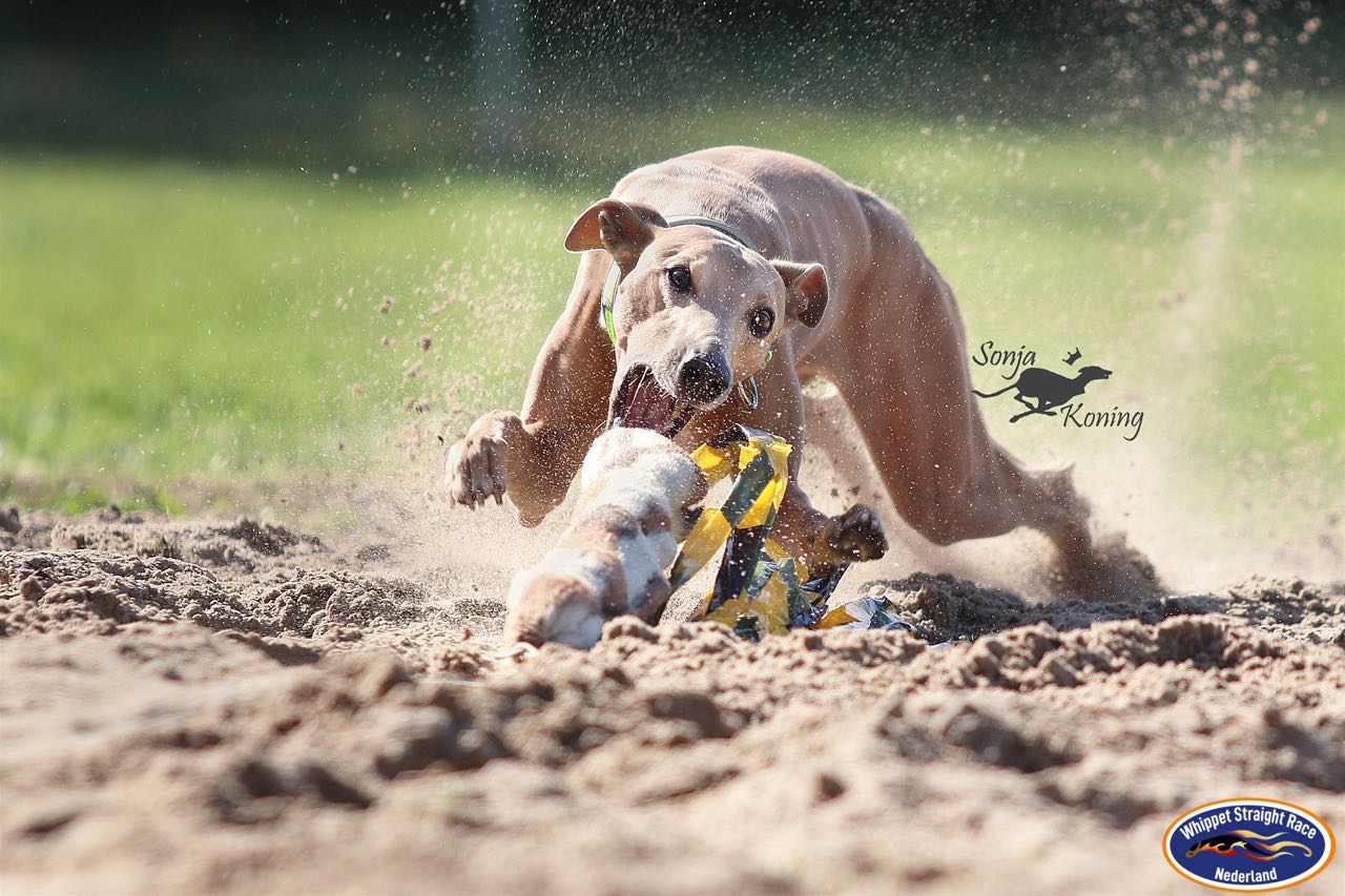 70860541_549390332559199_2991464525758201856_o