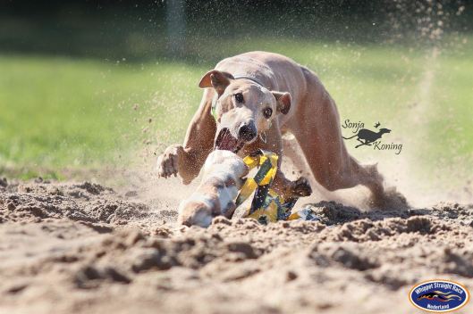 70860541_549390332559199_2991464525758201856_o