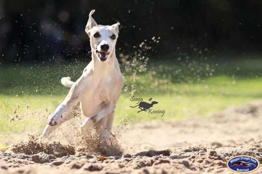 71825928_549388762559356_3963302997915598848_o