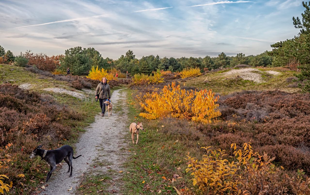 77081690_549430325634978_6979054915192619008_n