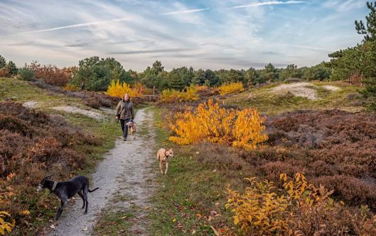 77081690_549430325634978_6979054915192619008_n