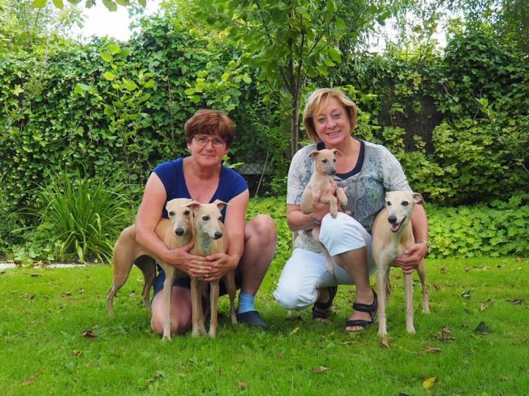 20621085_10213810160388468_8374309993758365495_n